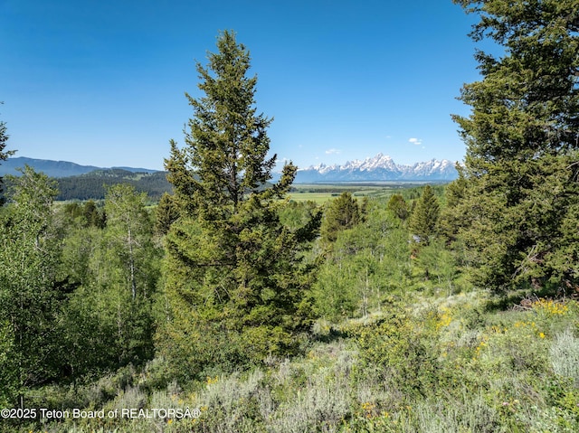 15245 E Teton Wilderness Dr, Moran, WY 83013