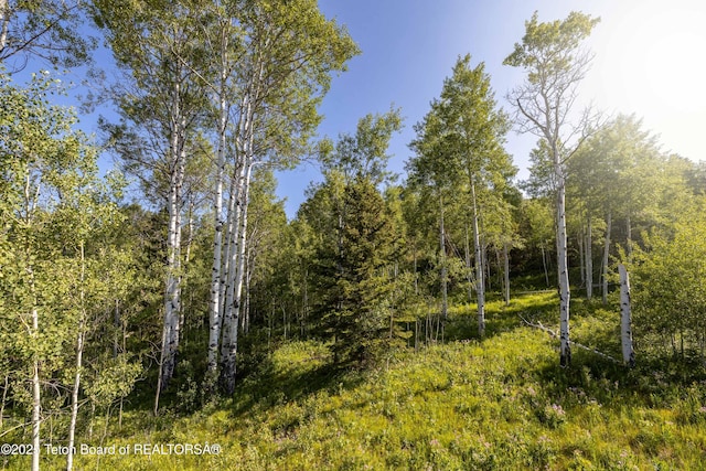 15245 E Teton Wilderness Dr, Moran, WY 83013