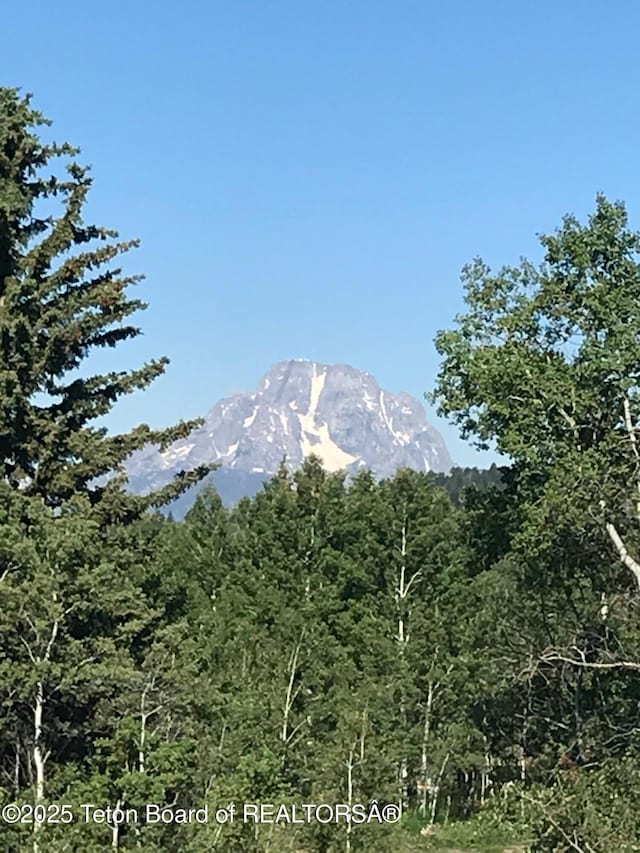 15245 E Teton Wilderness Dr, Moran, WY 83013