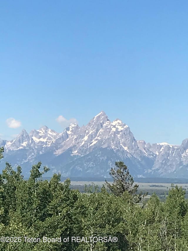 15245 E Teton Wilderness Dr, Moran, WY 83013