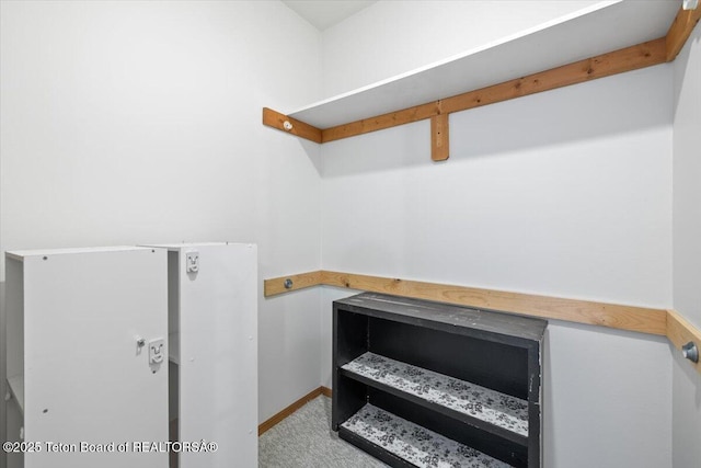 816 Powderhorn Ln Unit 816D, Jackson, WY 83001 - view of walk in closet