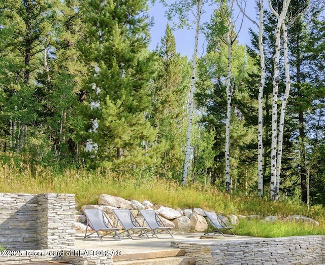 7970 N Granite Ridge Rd, Teton Village, WY 83025 - view of nature