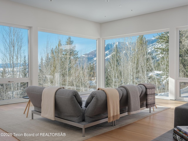 7970 N Granite Ridge Rd, Teton Village, WY 83025 - view of sunroom / solarium