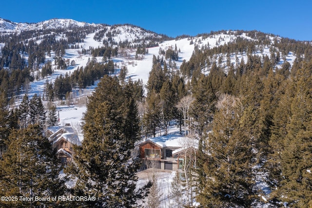 7970 N Granite Ridge Rd, Teton Village, WY 83025 - view of mountain backdrop featuring a forest