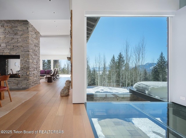 7970 N Granite Ridge Rd, Teton Village, WY 83025 - entryway featuring wood-type flooring