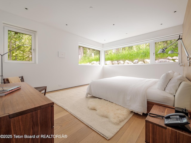7970 N Granite Ridge Rd, Teton Village, WY 83025 - bedroom with multiple windows and light wood-type flooring