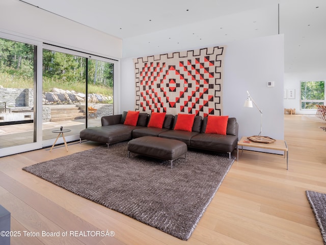 7970 N Granite Ridge Rd, Teton Village, WY 83025 - living room with wood finished floors