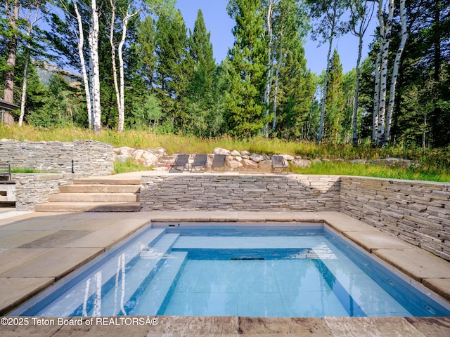 7970 N Granite Ridge Rd, Teton Village, WY 83025 - view of swimming pool