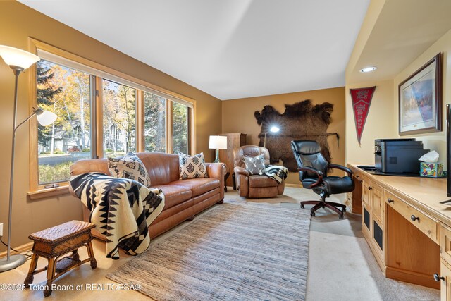 3035 N White Pine Ln, Wilson, WY 83014 - photo 20