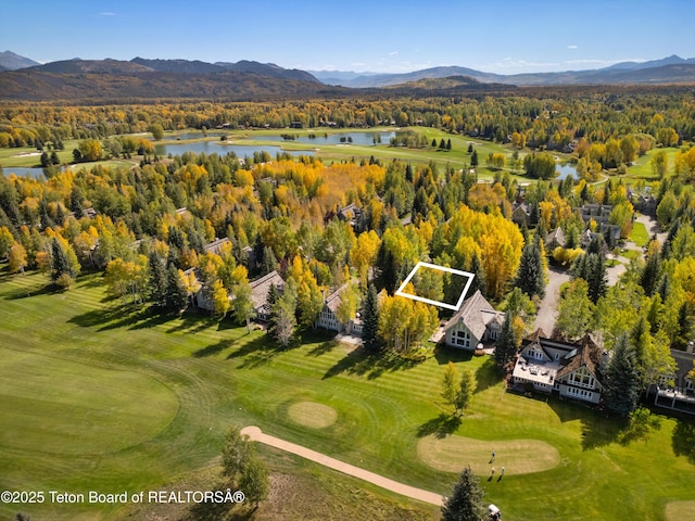 3035 N White Pine Ln, Wilson, WY 83014 - photo 42