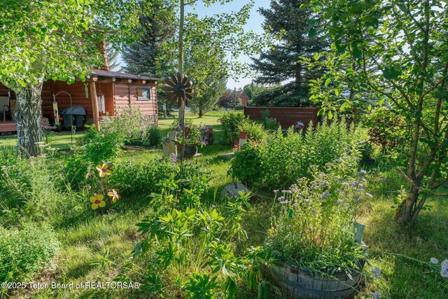 5100 Country Club Dr, Victor, ID 83455 - view of yard