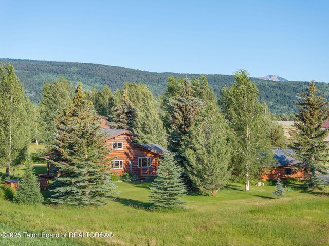 5100 Country Club Dr, Victor, ID 83455 - view of mountain background with a forest