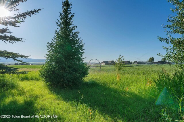 5100 Country Club Dr, Victor, ID 83455 - view of yard