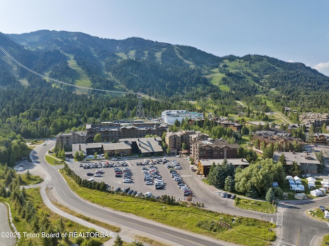 3325 W Village Dr Unit 359/361, Teton Village, WY 83025 - view of mountain background featuring a heavily wooded area