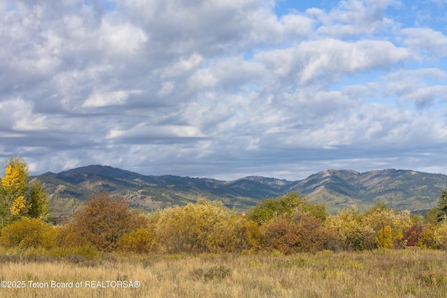 122 Hastings Dr Unit 207, Victor, ID 83455 - mountain view