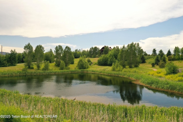 7322 W Rim Pl, Tetonia, ID 83452