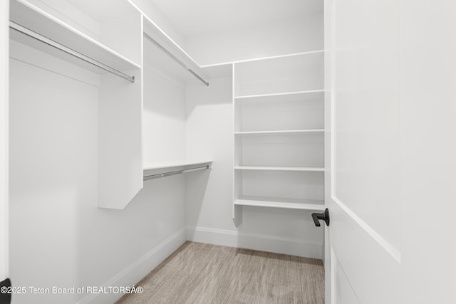 555 Silver Fox Ln, Victor, ID 83455 - walk in closet with carpet floors