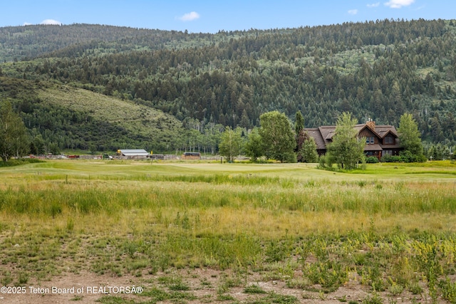 555 Silver Fox Ln, Victor, ID 83455 - view of mountain background with a forest