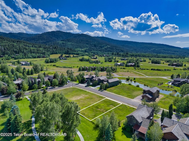105 Moulton Ln, Victor, ID 83455 - photo 1