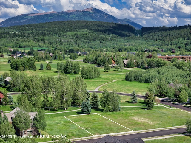 105 Moulton Ln, Victor, ID 83455 - photo 10