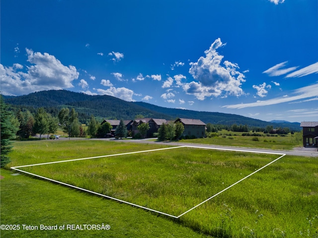105 Moulton Ln, Victor, ID 83455 - photo 11