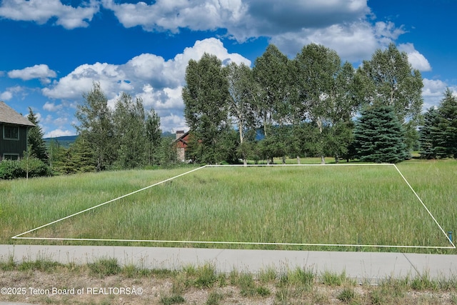 105 Moulton Ln, Victor, ID 83455 - photo 12