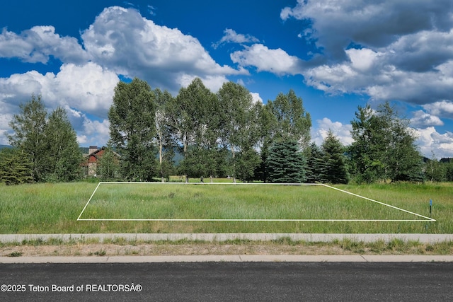 105 Moulton Ln, Victor, ID 83455 - photo 14