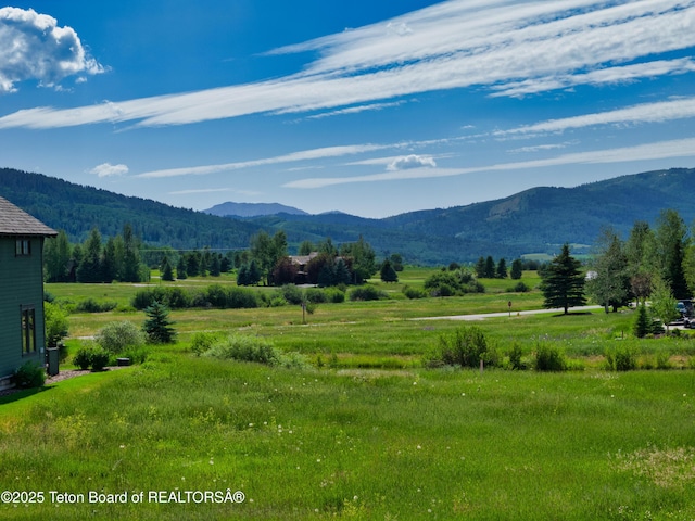 105 Moulton Ln, Victor, ID 83455 - photo 15