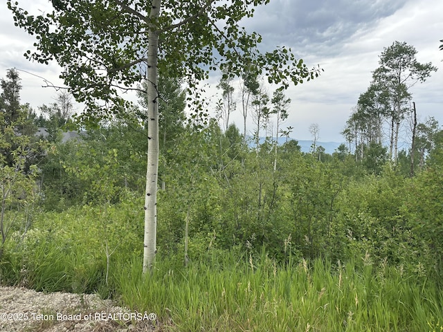 LOT61 Pine Dr, Star Valley Ranch, WY 83127 - photo 1