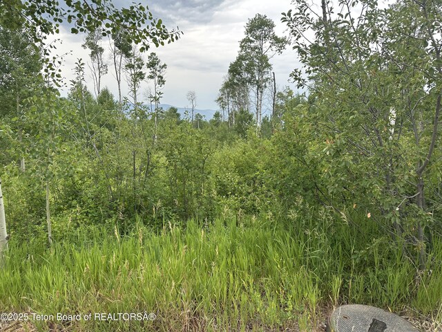 LOT61 Pine Dr, Star Valley Ranch, WY 83127 - photo 3