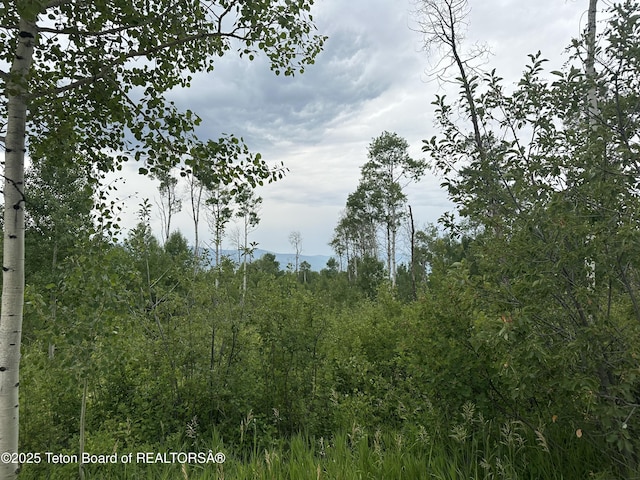 LOT61 Pine Dr, Star Valley Ranch, WY 83127 - photo 4