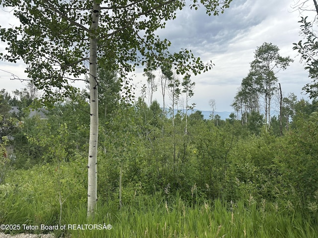 LOT61 Pine Dr, Star Valley Ranch, WY 83127 - photo 5