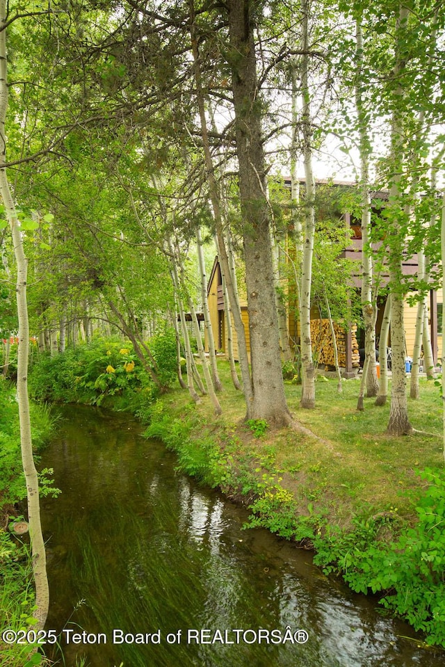 3885 S Lake Creek Dr Unit 1013, Wilson, WY 83014 - water view