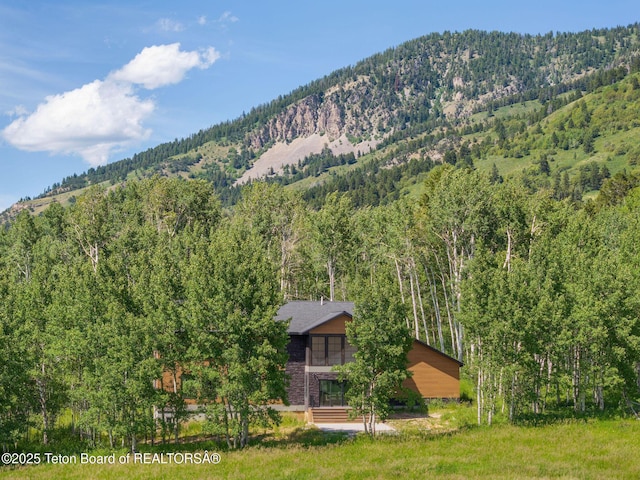 100 S Forest Dr, Star Valley Ranch, WY 83127 - photo 34