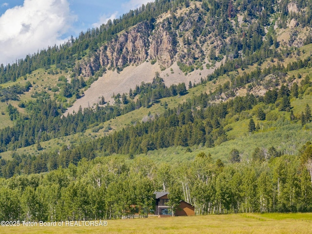 100 S Forest Dr, Star Valley Ranch, WY 83127 - photo 35