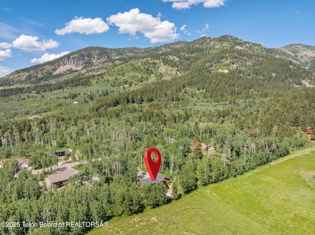 100 S Forest Dr, Star Valley Ranch, WY 83127 - photo 40