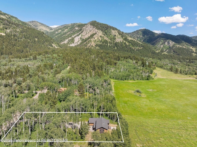 100 S Forest Dr, Star Valley Ranch, WY 83127 - photo 37