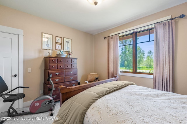 6289 Fox Meadows Dr, Victor, ID 83455 - carpeted bedroom with baseboards