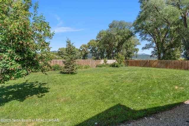 6289 Fox Meadows Dr, Victor, ID 83455 - view of fenced backyard