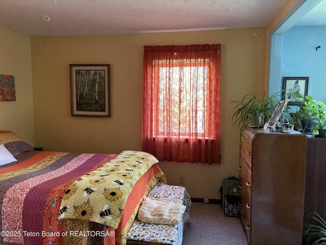 458 E 1st Ave, Afton, WY 83110 - photo 6