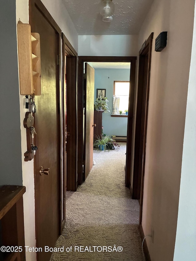 458 E 1st Ave, Afton, WY 83110 - photo 5