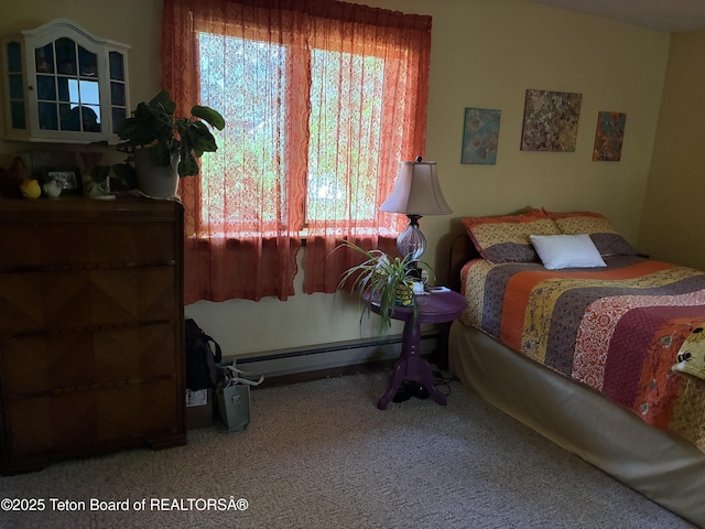 458 E 1st Ave, Afton, WY 83110 - photo 7