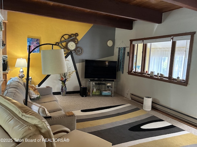 458 E 1st Ave, Afton, WY 83110 - photo 8