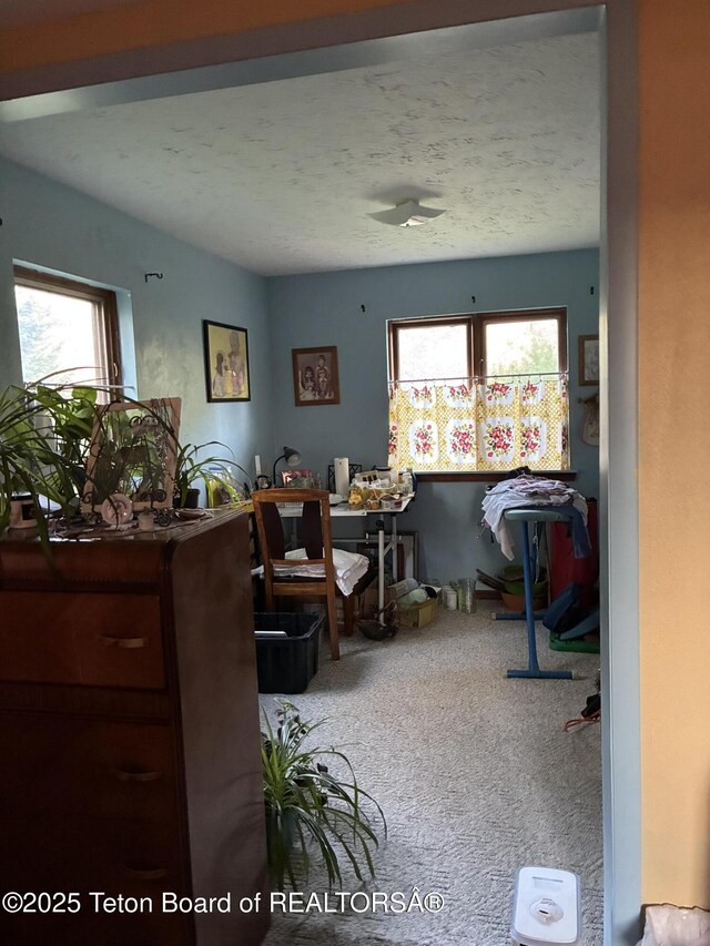 458 E 1st Ave, Afton, WY 83110 - photo 16