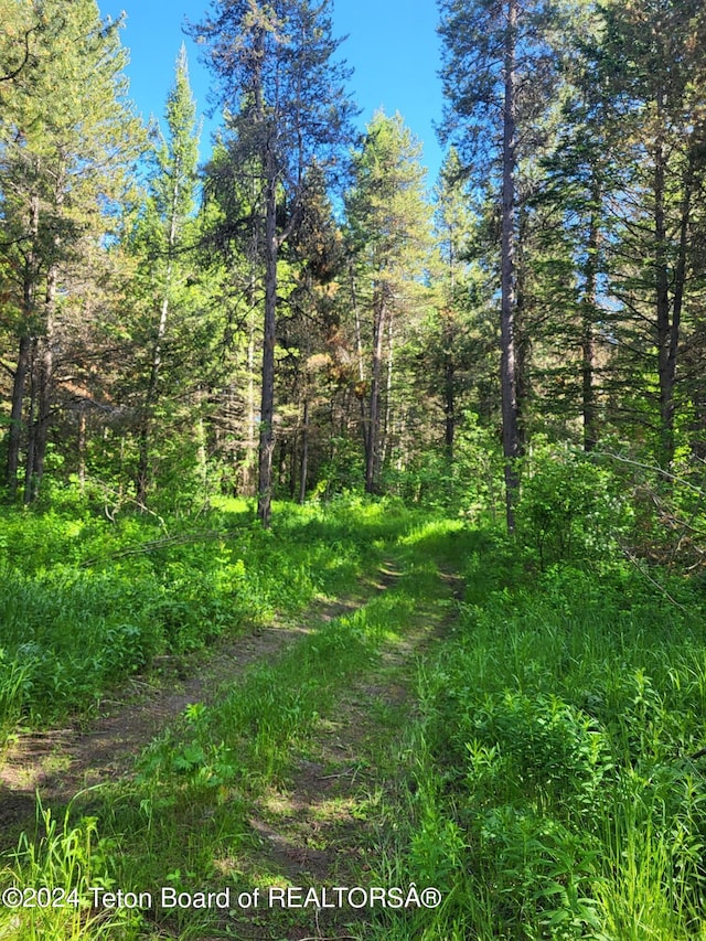 141 W 12250 N, Tetonia, ID 83452 - view of undeveloped land