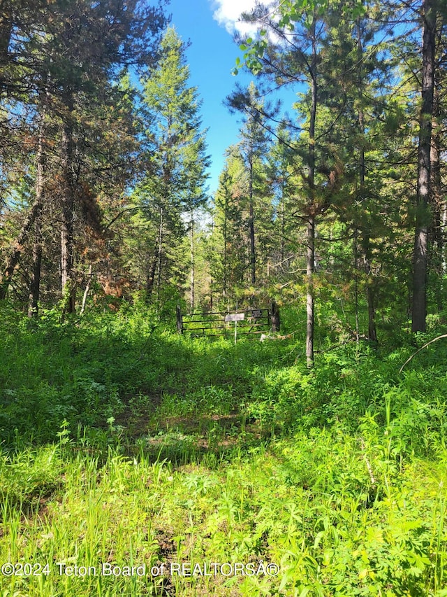 141 W 12250 N, Tetonia, ID 83452 - view of undeveloped land