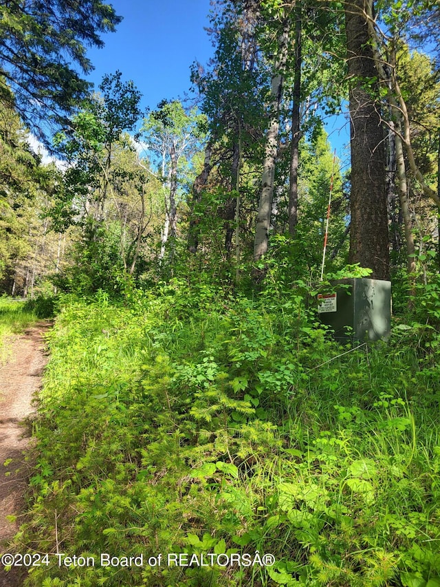 141 W 12250 N, Tetonia, ID 83452 - view of local wilderness