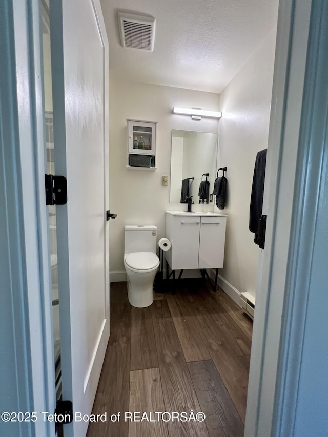 220 Homestead Rd Unit 203, Victor, ID 83455 - bathroom with a baseboard heating unit, wood finished floors, and vanity