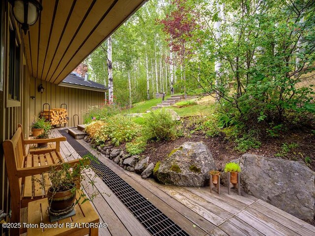 750 N Bar Y Rd, Jackson, WY 83001 - view of deck