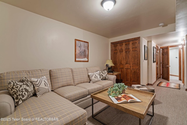 750 N Bar Y Rd, Jackson, WY 83001 - living area with carpet flooring and baseboards